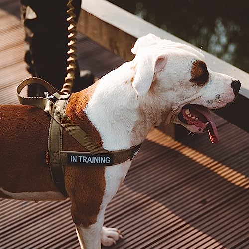 Excellent Elite Spanker Tactical Dog Harness Vest Adjustable Nylon Pet Dog Harness for Small Medium and Large Dogs(Ranger Green-S)