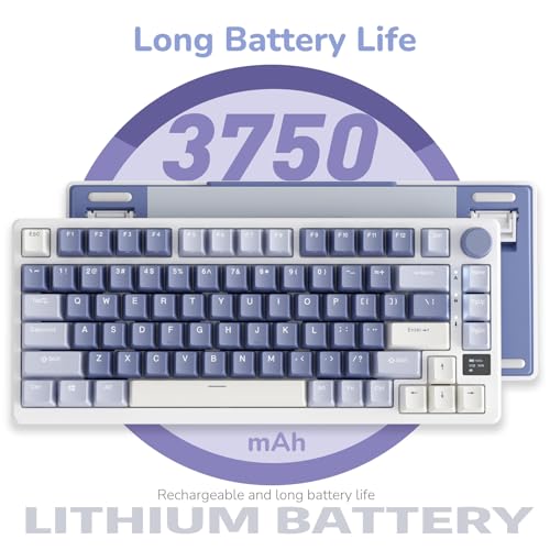RK ROYAL KLUDGE M75 Gaming Keyboard Wireless 75% TKL Mechanical Keyboard RGB 2.4GHz Wireless/Bluetooth/USB-C QWERTZ with OLED Smart Display and Button Hot Swappable Brown Switch, Lavender Purple
