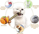 QUREZA Cat Toys, Silvervine Sticks for Cats, 3 Pack Natural Catnip Chew Toys for Kittens Teeth Cleaning, Matatabi Dental Care, Increase Appetite, Calm Cat Anxiety and Stress, Aggressive Chewers Cat Dental Toy