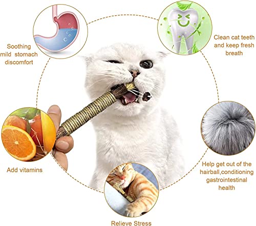 QUREZA Cat Toys, Silvervine Sticks for Cats, 3 Pack Natural Catnip Chew Toys for Kittens Teeth Cleaning, Matatabi Dental Care, Increase Appetite, Calm Cat Anxiety and Stress, Aggressive Chewers Cat Dental Toy