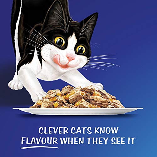 FELIX Adult As Good As It Looks Doubly Delicious Meat Wet Cat Food 60x85g