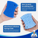 MR.SIGA Non-Scratch Cellulose Scrub Sponge, Dual-Sided Dishwashing Sponge for Kitchen, 12 Pack