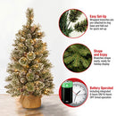National Tree Company Pre-lit Artificial Mini Christmas Tree | Includes Small White LED Lights, White Tipped Cones, Glitter Branches Pine Cones and Cloth Bag Base | Glittery Bristle Pine - 3 ft