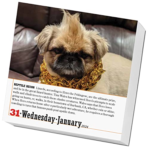 365 Dogs Page-A-Day Calendar 2024: The World's Favorite Dog Calendar