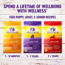 Wellness Complete Health Dry Dog Food with Grains, Natural Ingredients, Made in USA with Real Meat, All Breeds, for Adult Dogs (Chicken & Oatmeal, 30-Pound Bag)