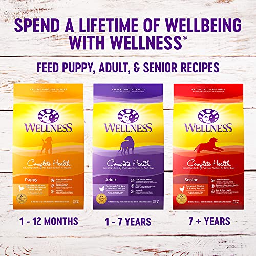 Wellness Complete Health Dry Dog Food with Grains, Natural Ingredients, Made in USA with Real Meat, All Breeds, for Adult Dogs (Chicken & Oatmeal, 30-Pound Bag)