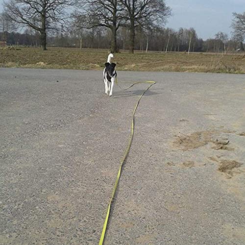 NIMBLE Waterproof Dog Leash Durable PVC Rope Great for Small Medium Large Dog 5ft 10ft 13ft 16ft Training Reflective Leash (16 Feet, Bright Yellow)