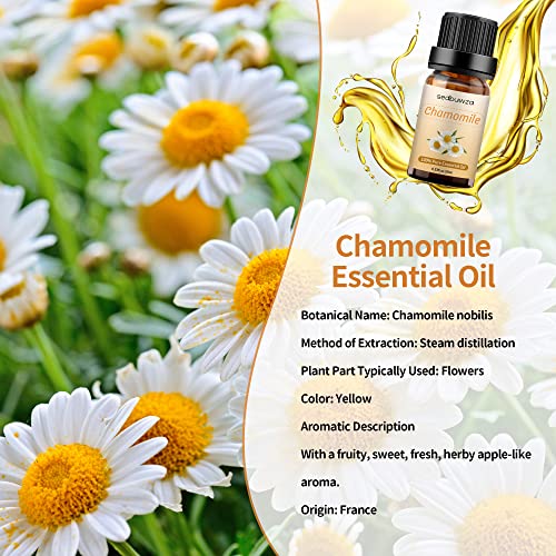 Chamomile Essential Oils 100% Pure & Natural Organic Chamomile Essential Oil for Diffuser Aromatherapy - 10ML