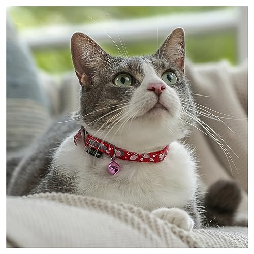 PURINA Total Care Reflective Cat Collar Adjustable (23-27cm)