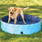 Floofi Dog Pool, Swimming Pool, Small Pool, Hard Plastic Pool, Dog Pools for Large Dogs, Outdoor Pool, Mini Pool, Pet Pool (Blue)