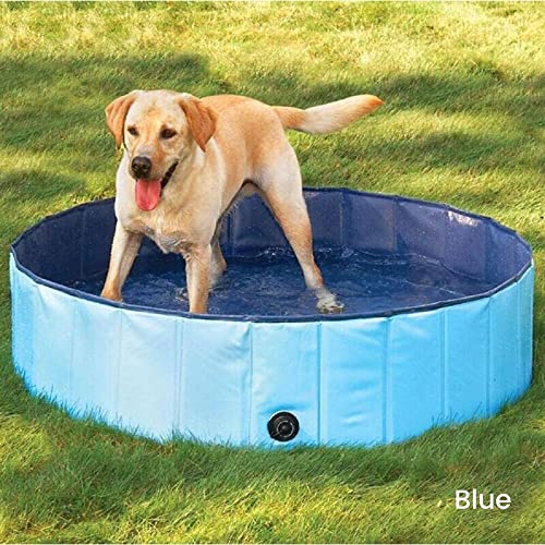 Floofi Dog Pool, Swimming Pool, Small Pool, Hard Plastic Pool, Dog Pools for Large Dogs, Outdoor Pool, Mini Pool, Pet Pool (Blue)