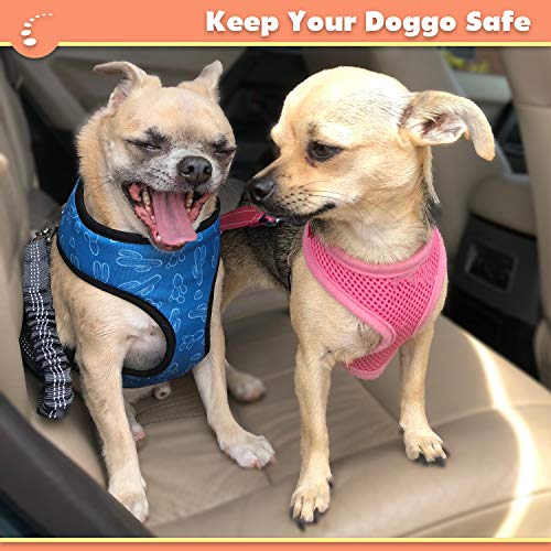 Zenify Dog Car Seat Belt Extendable Lead (2 Pack) - Bungee Leash for Dogs Puppies - Pet Adjustable Elastic Seatbelt Harness Vehicle Safety Birthday Road Trip Gift Idea (Black)
