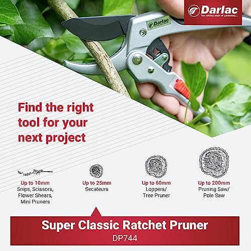 Darlac Super Classic Ratchet Pruner – Powerful Ratchet Action – High Carbon Steel – Curved Anvil For Trapping Branches – Small Hand Profile For Comfort – Ideal For Gardeners With A Weaker Grip