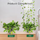 GROWNEER 120PCS Plant Climbing Wall Fixture Clip, Vine Wall Clips, Plant Climbing Clips with 72PCS Acrylic Adhesive Sticker, Self-Adhesive Vine Wall Clips Plant Clips for Indoor Outdoor Decoration
