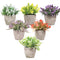 Artigreen Mini Artificial Plants Potted 6 Pcs,Fake Potted Green Flower, Suitable for Office Desk Coffee Table Bathroom Bedroom Home Decorations
