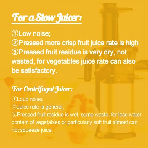 ADVWIN Electric Slow Juicer, Fruits & Vegetables Juicer, Stainless Steel Cold Press Juicer with Easy to Clean | BPA Free