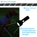 Zenify Pets Dog Lead - Durable Strong Chew Resistant Slip Lead Nylon Rope Padded Handle Mountain Climbing Harness Pet Puppy Training Slipknot Leash for Walking [1/2 inch 1.2cm Thick] (Black 4ft)