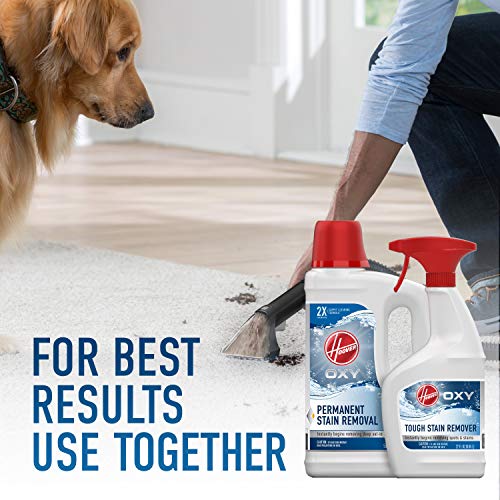 Hoover Oxy Spot and Stain Remover, 22oz Pretreat Spray Formula for Carpet and Upholstery, AH30902, White
