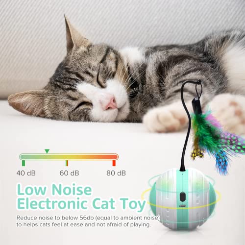 Beedove Interactive Cat Toys, 360 Degree Self Rotating Feather Robotic Cat Ball, USB Rechargeable Electric Kitten Toys with LED Lights and Funny Bird Sound for Indoor Cats/Pets
