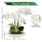Orchids Artificial Flowers 15" Large Fake Orchid White Phalaenopsis Orchid Flower Arrangements with Ceramic Vase Faux Orchid for Home Bathroom Table Centerpiece Office Wedding Decor