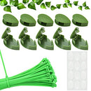 RECHCIGA 100PCS Green Cable Ties Adjustable Plant Tie Wraps with 50PCS Trellis Clips Plant Climbing Wall Fixture Clips Self-locking Plant Clips for Climbing Plants Gardening Plant Support and Secure
