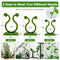 110PCS Plant Climbing Wall Fixture Clips Vine Plant Climbing Wall Fixer Self-Adhesive Hook for Pothos, Invisible Plant Fixing Hook for Plant Garden Wall Clip,Green