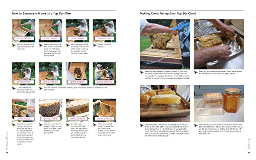 Backyard Beekeeper: An Absolute Beginner's Guide to Keeping Bees in Your Yard and Garden