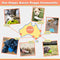Zenify Pets Compostable Dog Poo Bags (60 Bags) - Certified Compostable Biodegradable Waste - Australian Owned