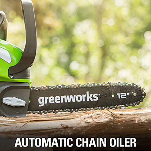 Greenworks 40V 12" Cordless Compact Chainsaw (Great for Storm Clean-Up, Pruning, and Camping), 2.0Ah Battery and Charger Included