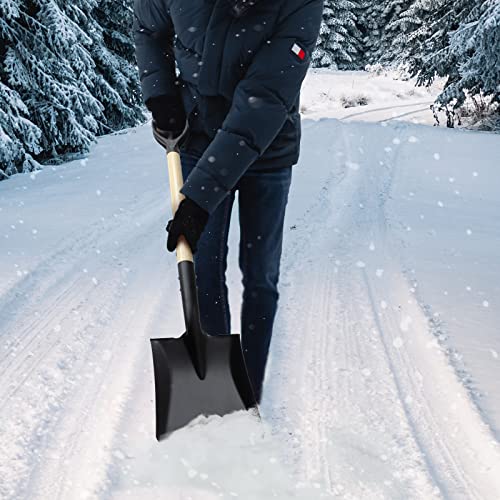 Square Shovel, Shovels for Digging with D-Handle, Overall 41-Inch Long Garden Shovel, Transfer Shovel, Snow Shovel for Car, Garden Tools