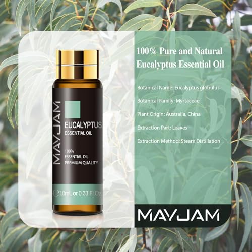 Eucalyptus Essential Oil, MAYJAM 10ML/0.33FL.OZ Premium Eucalyptus Oils for Soap Candle Making, Diffuser, Bedroom, Living Room, Office