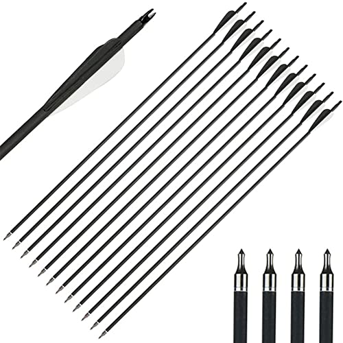 80cm(31 inch) Carbon Arrow Practice Hunting Arrows Spine 500 with Removable Tips for Archery Compound & Recurve & Traditional Bow (12 pcs)