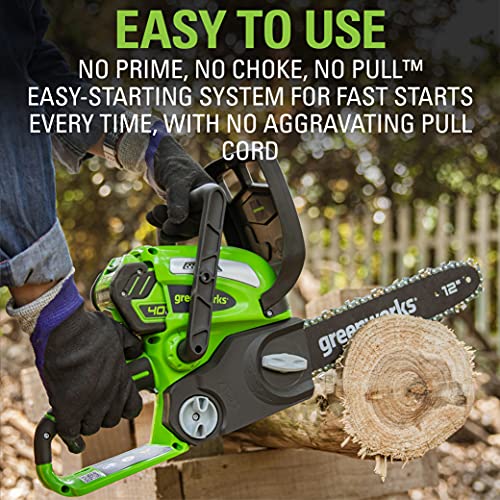 Greenworks 40V 12" Cordless Compact Chainsaw (Great for Storm Clean-Up, Pruning, and Camping), 2.0Ah Battery and Charger Included
