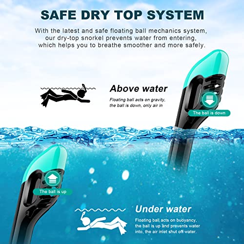 Zeeporte Dive Full Face Snorkel Mask, Snorkeling Gear for Adults Kids with Latest Dry Top Breathing System and Detachable Camera Mount, Foldable Mask with 180 Degree Panoramic View, Anti Leak&Fog