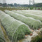 6/10M Garden Netting Crops Plant Protect Mesh Bird Net Insect Animal Vegetables (10 x 2.5 Meters)