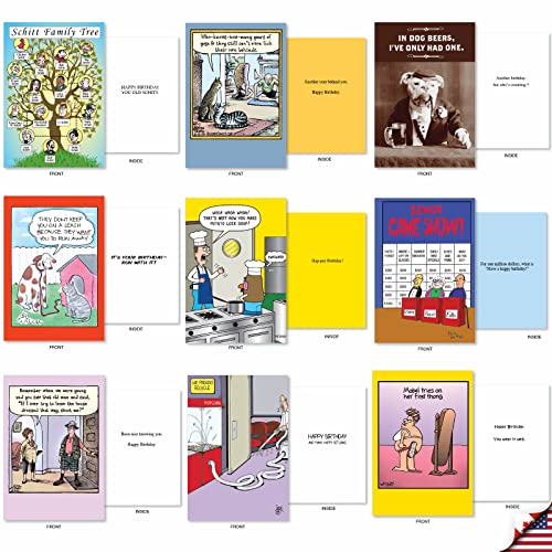 Birthday Bestsellers - 36 Assorted Boxed Birthday Cards with Envelopes (4.63 x 6.75 Inch) - Compiling numerous top-selling cards in our line AC2911BDG-B1x36