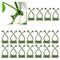 100Pcs Plant Climbing Wall Fixture Clips Vine Clips for Climbing and Hanging Plants (Green)