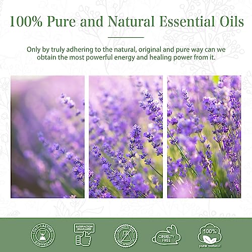 PHATOIL Lavender Essential Oil 30ML, Essential Oils for Diffuser, Humidifier, Aromatherapy, DIY Candle and Scented Products Making (Lavender, 30 ml)