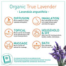 Puressentiel Organic Essential Oil - Lavender True For Unisex 0.3 oz Oil