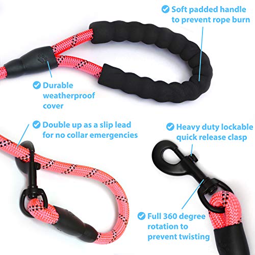 Zenify Pets Dog Lead - Durable Strong Chew Resistant Slip Lead Nylon Rope Padded Handle Mountain Climbing Harness Pet Puppy Training Slipknot Leash for Walking [1.2cm Thick 183cm Long] (Pink 6ft)…