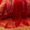 Zhiyuan Lace Embroidery Dome Red Bed Netting Canopy Curtain Mosquito Net for All Sizes Bed