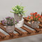 Artigreen Mini Artificial Plants Potted 6 Pcs,Fake Potted Green Flower, Suitable for Office Desk Coffee Table Bathroom Bedroom Home Decorations