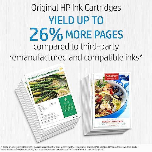 HP 804XL Genuine Original Black Ink Printer Cartridge works with HP ENVY Photo 6200, 7100, 7800 All-in-One Printer series - (T6N12AA)