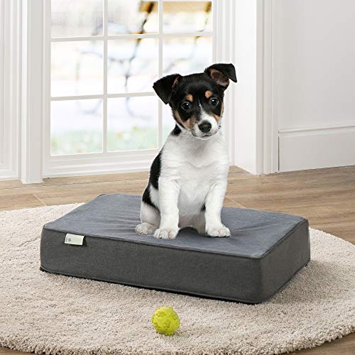 Zinus Premium Green Tea Memory Foam Dog Bed/Waterproof Machine Washable Cover Pet Bed Pillow for Small, Medium, Large Dogs, Puppy and Cats