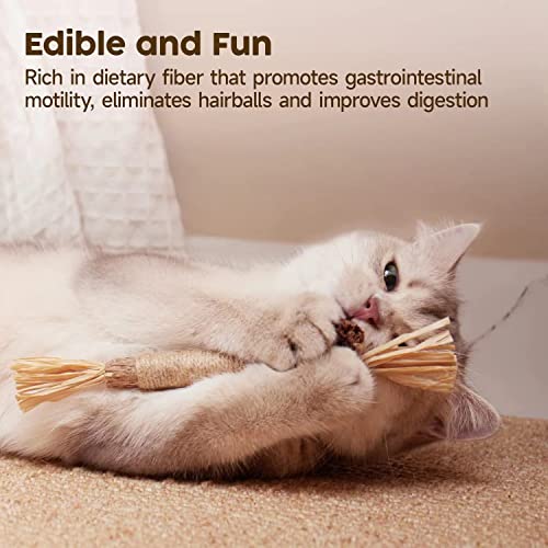 QUREZA Cat Toys, Silvervine Sticks for Cats, 3 Pack Natural Catnip Chew Toys for Kittens Teeth Cleaning, Matatabi Dental Care, Increase Appetite, Calm Cat Anxiety and Stress, Aggressive Chewers Cat Dental Toy