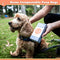 Zenify Pets Compostable Dog Poo Bags (60 Bags) - Certified Compostable Biodegradable Waste - Australian Owned