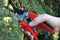 Darlac Compound Action Pruner - Easy Action Secateurs Ideal for Keen Gardener - Cut Capacity of 23mm - SK5 High Carbon Steel Blades - Ideal for Pruning Plants and Small Hedges