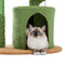 PAWZ Road Cat Tree Cactus Cat Tower with Sisal Covered Scratching Post, Cozy Condo, Plush Perches and Fluffy Balls for Indoor Cats 83.5cm