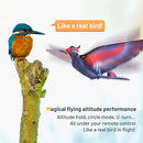 HANVON 2.4G Remote Control Bird Toy RC Bird Bionic Flying Bird,6-axis Gyro,Fabric Single Wing Lifting Design,Easy Indoor Outdoor RC Toy for Kids,Boys and Girls,Go Go Bird Bennu