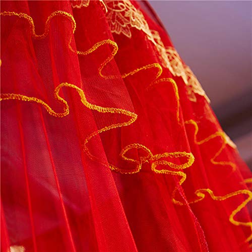 Zhiyuan Lace Embroidery Dome Red Bed Netting Canopy Curtain Mosquito Net for All Sizes Bed